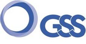 Imagen de GSS