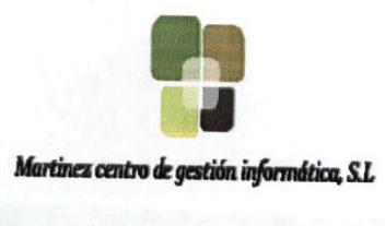 Imagen de MARTINEZ CENTRO DE GESTION INFORMATICA, S.L