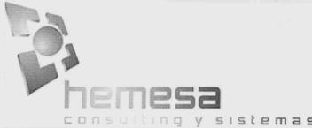 Imagen de HEMESA CONSULTING Y SISTEMAS