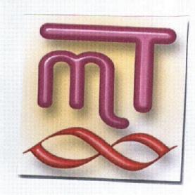 Imagen de MT