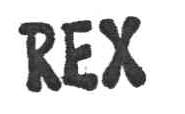 Imagen de REX