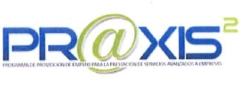 Imagen de PR@XIS2 PROGRAMA DE PROMOCION DE EMPLEO PARA LA PRESTACION DE SERVICIOS AVANZADOS A EMPRESAS