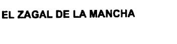 Imagen de EL ZAGAL DE LA MANCHA