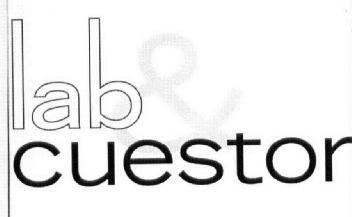 Imagen de LAB & CUESTOR