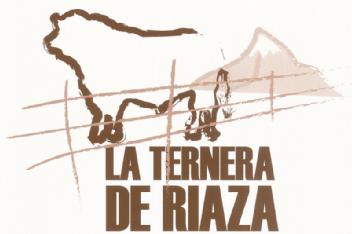 Imagen de LA TERNERA DE RIAZA