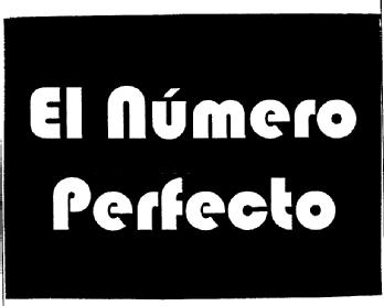 Imagen de EL NUMERO PERFECTO