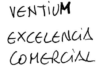 Imagen de VENTIUM EXCELENCIA COMERCIAL