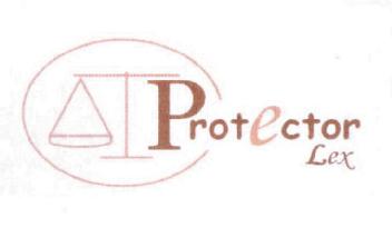Imagen de PROTECTOR LEX