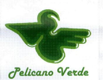 Imagen de PELICANO VERDE