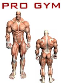 Imagen de PRO GYM