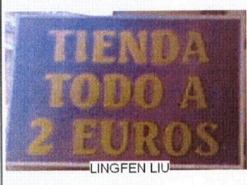 Imagen de TIENDA TODO A 2 EUROS LINGFEN LIU