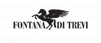 Imagen de FONTANA DI TREVI