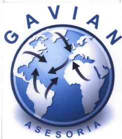 Imagen de GAVIAN ASESORIA