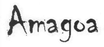 Imagen de AMAGOA