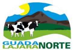 Imagen de GUADALAJARANORTE