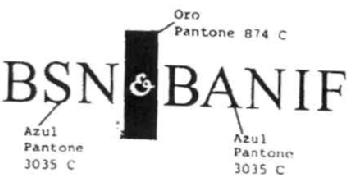 Imagen de BSN & BANIF