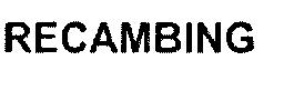 Imagen de RECAMBING