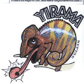 Imagen de YIRAMA REPTILE