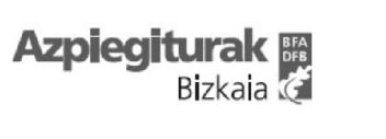 Imagen de AZPIEGITURAK BIZKAIA BFA DFB