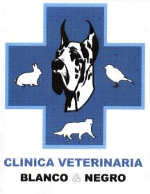 Imagen de CLINICA VETERINARIA BLANCO & NEGRO