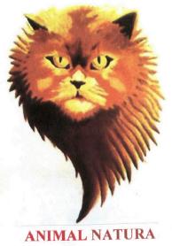 Imagen de ANIMAL NATURA