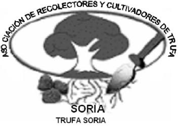 Imagen de ASOCIACION DE RECOLECTORES Y CULTIVADORES DE TRUFA SORIA TRUFA SORIA