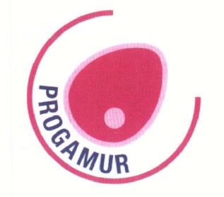 Imagen de PROGAMUR