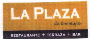 Imagen de LA PLAZA DE BORMUJOS RESTAURANTE+TERRAZA+BAR