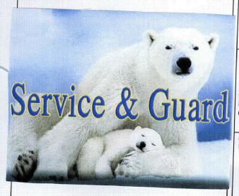 Imagen de SERVICE & GUARD