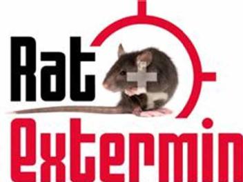 Imagen de RAT EXTERMIN