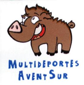 Imagen de MULTIDEPORTES AVENT SUR