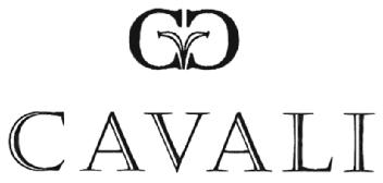 Imagen de CAVALI