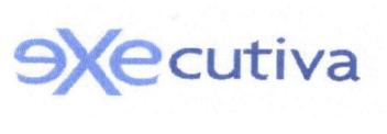 Imagen de EXECUTIVA