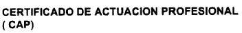 Imagen de CERTIFICADO DE ACTUACION PROFESIONAL (CAP)