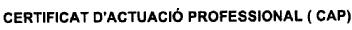 Imagen de CERTIFICAT D'ACTUACIO PROFESSIONAL (CAP)