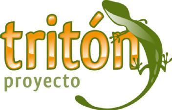 Imagen de PROYECTO TRITON