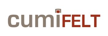 Imagen de CUMIFELT