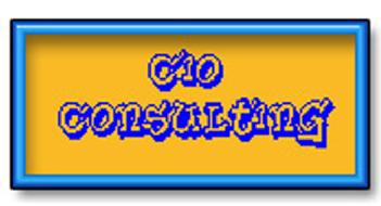 Imagen de CIO CONSULTING