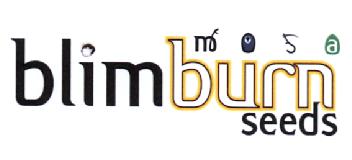 Imagen de BLIM BURN SEEDS