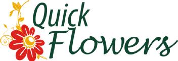 Imagen de QUICK FLOWERS