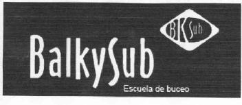 Imagen de BKS BALKYSUB ESCUELA DE BUCEO