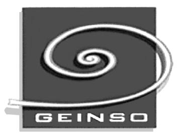 Imagen de GEINSO