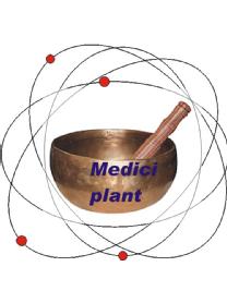 Imagen de MEDICIPLANT
