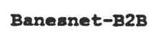 Imagen de BANESNET-B2B