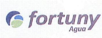Imagen de FORTUNY AGUA