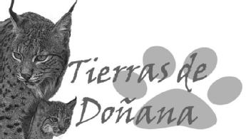 Imagen de TIERRAS DE DOÑANA