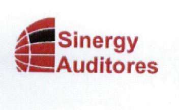 Imagen de SINERGY AUDITORES