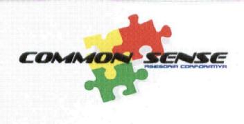 Imagen de COMMON SENSE ASESORIA CORPORATIVA
