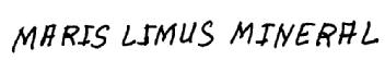 Imagen de MARIS LIMUS MINERAL