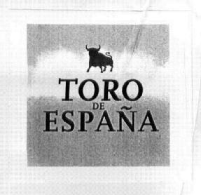 Imagen de TORO DE ESPAÑA